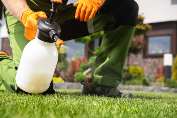 Best Cockroach Control Services  in Warren, IN