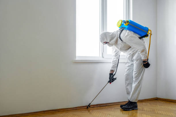 Best Best Pest Control Companies  in Warren, IN