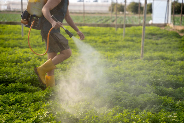 Best Pest Inspection Near Me  in Warren, IN