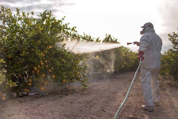 Best Pest Control Near Me  in Warren, IN