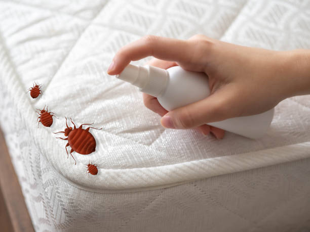 Best Mosquito Control Services  in Warren, IN
